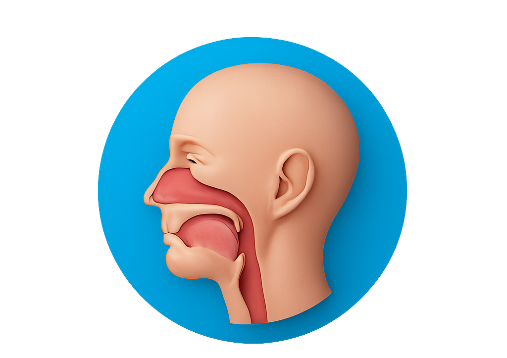 Otorrinolaringología